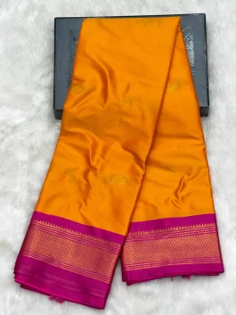 Sico Paithani F01