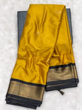 Sico Paithani F01