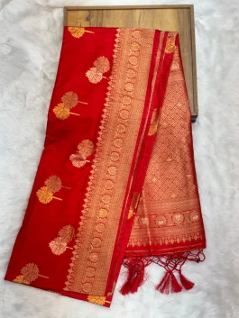 Dola Silk Designer Saree N01