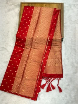Dola Silk Designer Saree N01