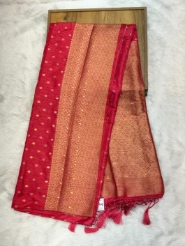 Dola Silk Designer Saree N01