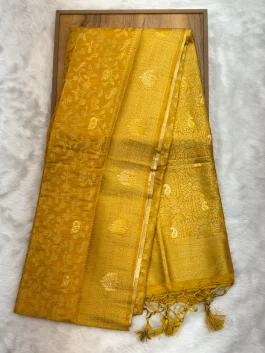 Dola Silk Designer Saree N01