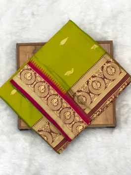 Soft Silk Peshwai Paithani J10