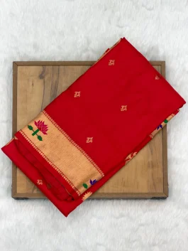 Asawali Paithani B11