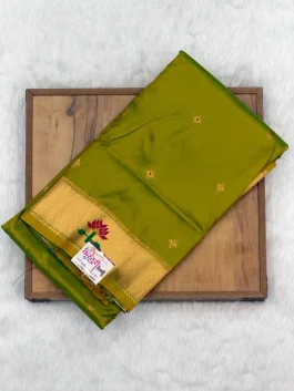 Asawali Paithani B11
