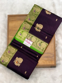 Pure Silk Peshwai Paithani A10