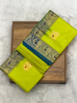 Pure Silk Peshwai Paithani A10