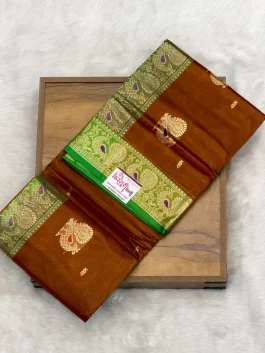 Pure Silk Peshwai Paithani A10