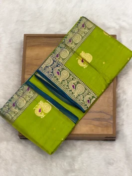 Pure Silk Peshwai Paithani A10