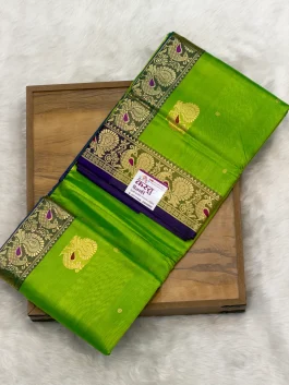 Pure Silk Peshwai Paithani A10