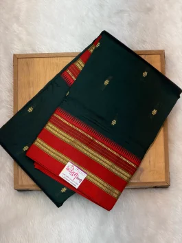 Pure Silk Narayanpeth G10 / i10