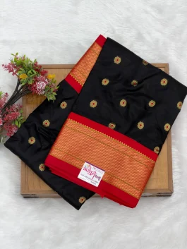 Pure Silk Kalanjali Paithani H01