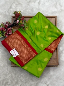 Pure Silk Kalanjali Paithani H01