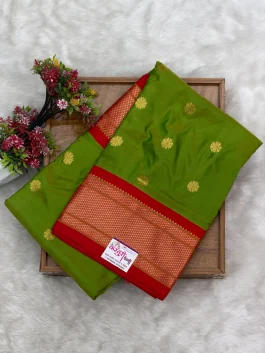 Pure Silk Kalanjali Paithani H01