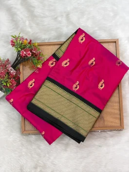 Pure Silk Kalanjali Paithani H01