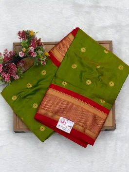 Pure Silk Kalanjali Paithani H01