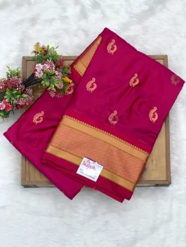 Pure Silk Kalanjali Paithani H01