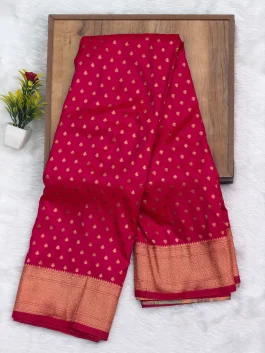 Rasika Kalanjali Paithani Red Pink E12