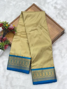 Pure Silk Kanjivaram Badami Paithani T11