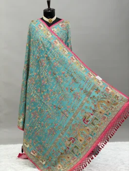 Rajwadi Fancy Saree Sky Blue D13