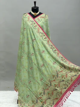 Rajwadi Fancy Saree Pista D13