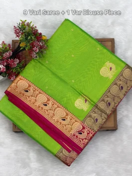 Peshwai Paithani Pure Silk Nauvari G11